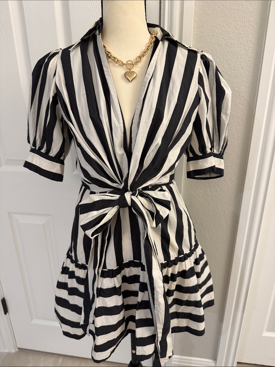 FARM Rio Dresses & Skirts - FARM Rio Black & White Vertical Stripe Tie-Front Mini Dress